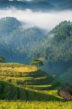 高尔夫赌场足球比分-当高尔夫、赌场与足球比分交织，一场关于欲望与规则的博弈
