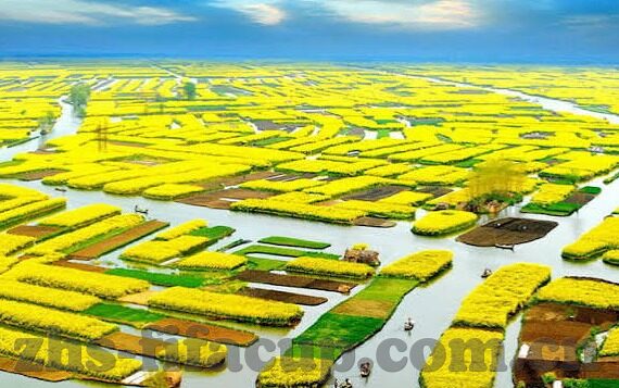 开云体育是哪里的公司-开云体育,源自意大利的全球体育巨头